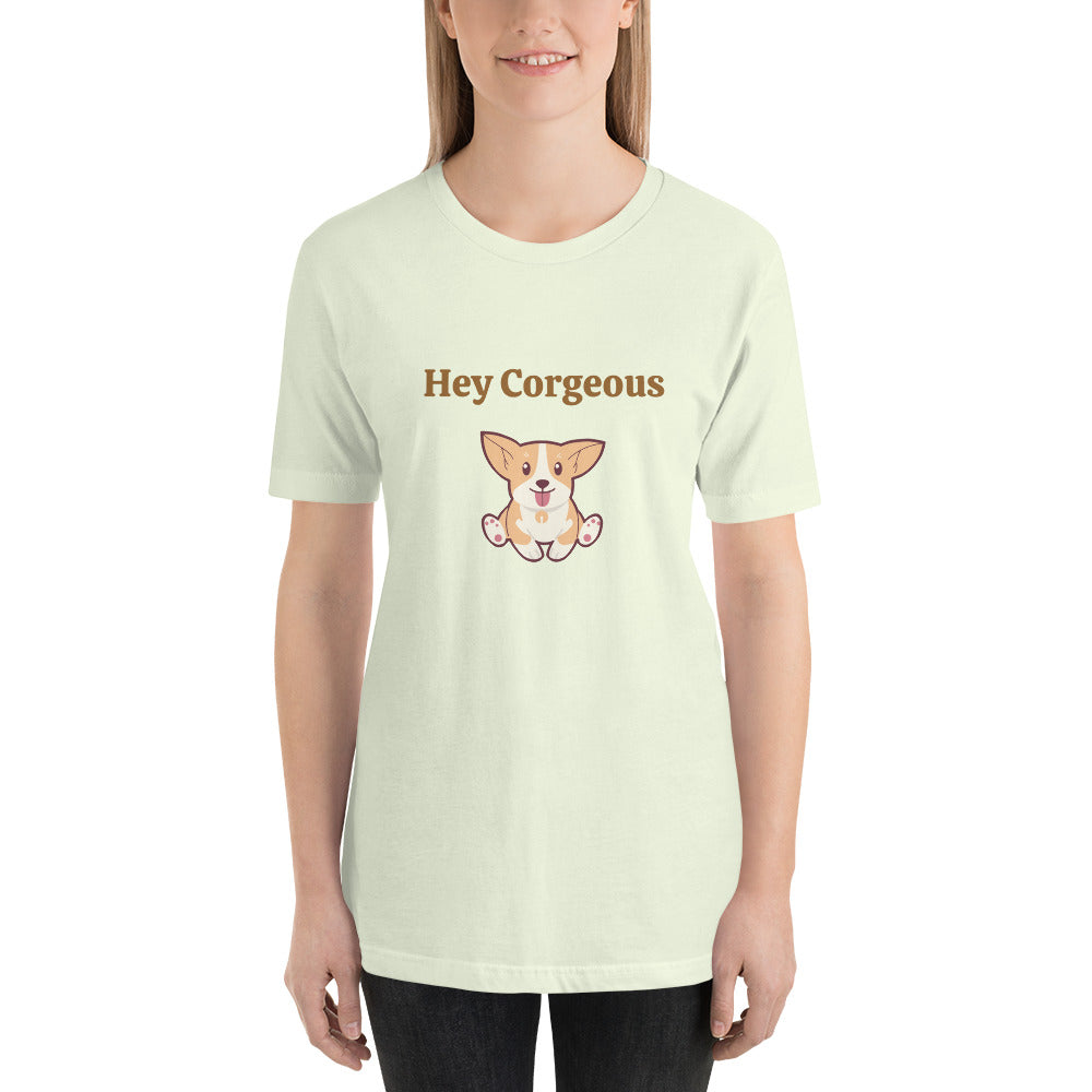 Hey Corgeous - Classic Tee